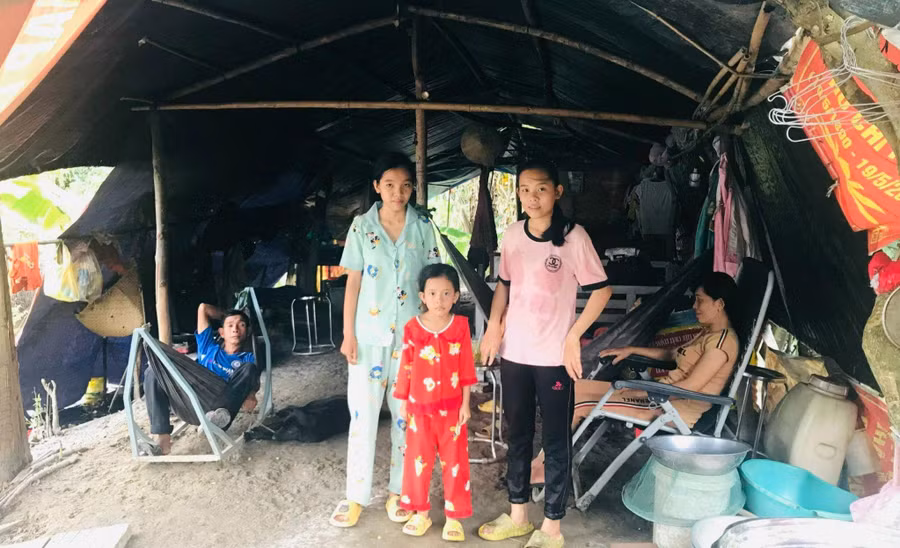 Gia đình Thảo hiện sống trong căn lều bạt ngoài đồng ruộng.