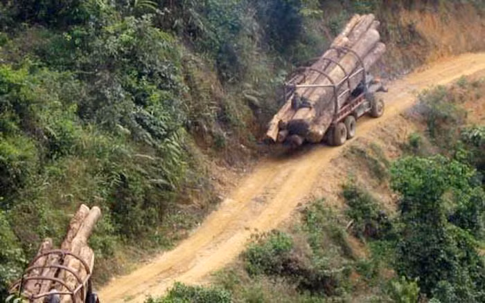 cán bộ đánh bạc, lâm tặc, bảo kê lâm tặc, Tương Dương