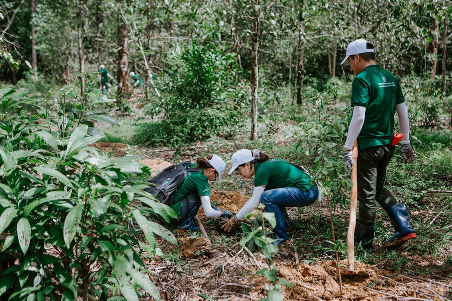 Năm 2022, Nestlé đóng góp 1.000 cây về Khu bảo tồn Thiên nhiên Văn hóa Đồng Nai. Năm 2022, Nestlé đóng góp 1.000 cây về Khu bảo tồn Thiên nhiên Văn hóa Đồng Nai.