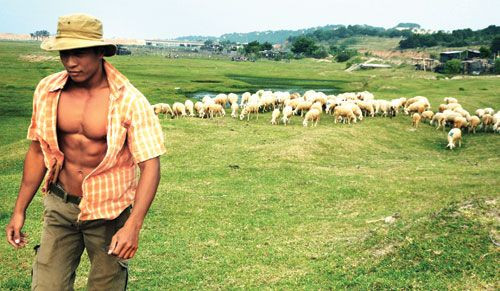 Hình ảnh: Top phim truyền hình Việt làm mưa làm gió màn ảnh nhỏ số 7