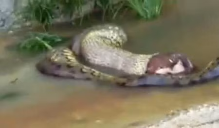 Cai ket dau don cua nhung vu mang xa tham an