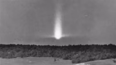 Vén màn bí ẩn trong khu rừng ‘Tam giác quỷ Bermuda’ ảnh 1