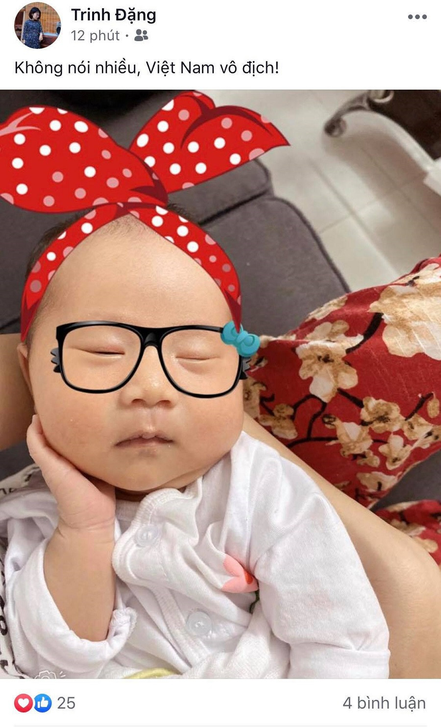 Câu "Không nói nhiều. Việt Nam vô địch! được người hâm mộ liên tục chia sẻ