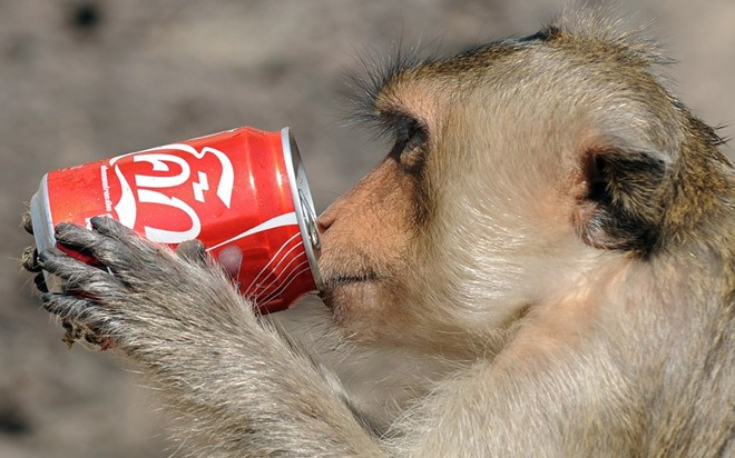 Tiệc Buffet khỉ (Thái Lan): Lễ hội ẩm thực độc đáo này diễn ra hàng năm ở tỉnh Lopburi, phía bắc Bangkok, Thái Lan vào tháng 11. Đàn khỉ sẽ được thưởng thức một bữa tiệc do người dân địa phương đóng góp ở đền Pra Prang Sam Yot, một trong những hoạt động để thu hút du khách đến với địa phương này.