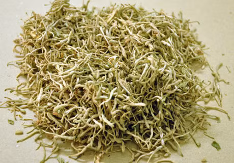 Nguoi bi benh thuy dau nen an gi de nhanh hoi phuc? - Anh 5