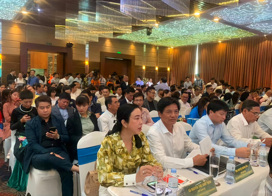 Các đại biểu tham dự hội nghị. Các đại biểu tham dự hội nghị.