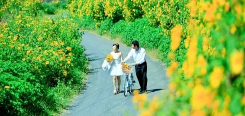 9 con đường hoa đẹp nhất Việt Nam, say lòng giới trẻ - Hình 8 9 con duong hoa dep nhát Vịet Nam, say long gioi tre-Hinh-8