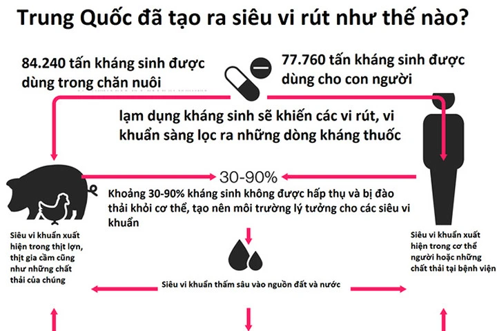 Hàng triệu người sẽ chết vì nhờn thuốc kháng sinh