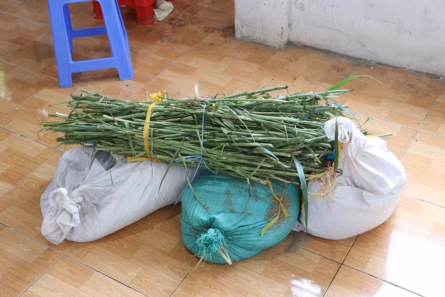 Cơ quan chức năng mở nắp quan tài phát hiện không có thi thể của bà T mà chỉ có nhiều gốc hoa huệ, 3 bao cát.