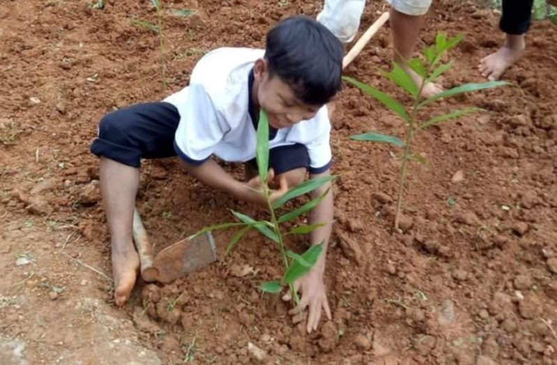 Học sinh Trường PTDTBT Tiểu học – THCS Trà Nam với tiết học tại vườn cây dược liệu của trường . Học sinh Trường PTDTBT Tiểu học – THCS Trà Nam với tiết học tại vườn cây dược liệu của trường .