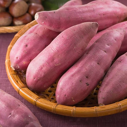 5 loại củ vô cùng độc hại khi mọc mầm