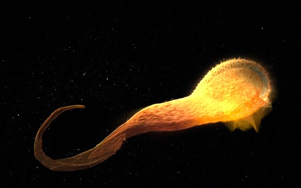 Quá trình phá hủy vừa tàn khốc, vừa hùng vĩ. Ảnh: NASA