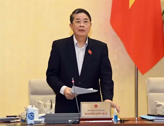 Phó Chủ tịch Quốc hội - Nguyễn Đức Hải phát biểu. (Ảnh: Phạm Kiên/TTXVN)