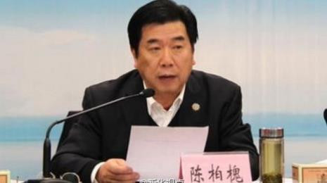 Xuất hiện "hổ lớn" đầu tiên ở Trung Quốc không nhận tội ảnh 1