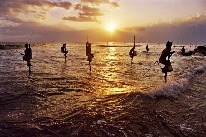 Kiểu câu cá có một không hai của ngư dân Sri Lanka