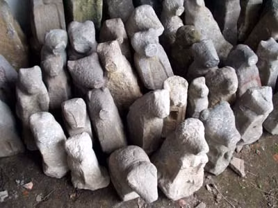 Chó đá mỗi con mỗi vẻ