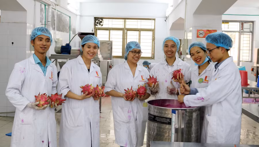 Nhóm nghiên cứu thử nghiệm quy mô Pilot tại Trung tâm Thực hành và Phát triển sản phẩm thực phẩm, Trường Hóa và Khoa học sự sống. Ảnh: Đình Tuệ