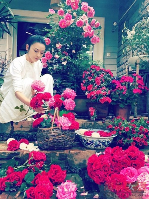 Sắc đẹp khó tin ở tuổi 54 của nàng “Mai Siêu Phong“ ảnh 3 Sắc đẹp khó tin ở tuổi 54 của nàng “Mai Siêu Phong“ ảnh 3