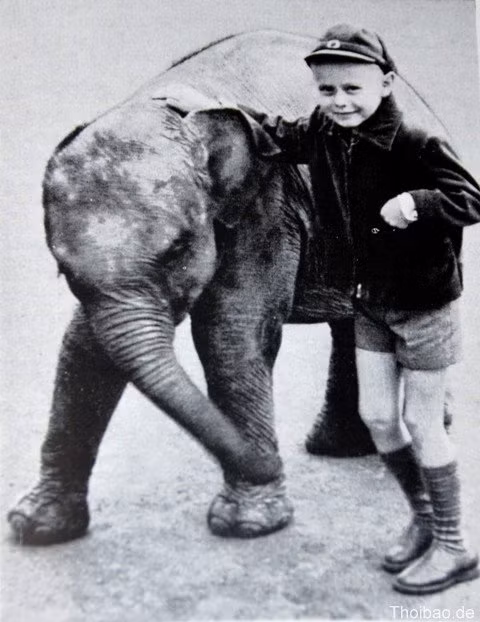 Tierpark Berlin, Bác Hồ, tặng con voi