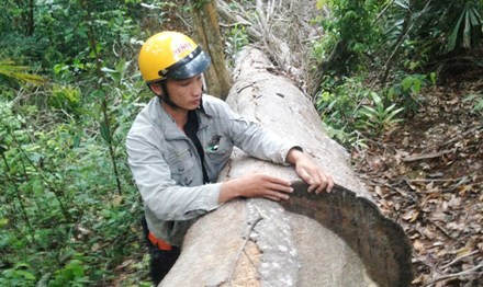 Ảnh minh họa. Nguồn: Báo Tiền phong