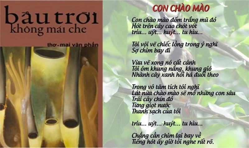 “Con chào mào” của Mai Văn Phấn: Sự tương giao của thiên nhiên và tâm hồn