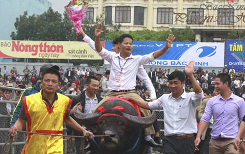 Trâu chọi, Đinh Văn Tư, chọi trâu Phúc Thọ