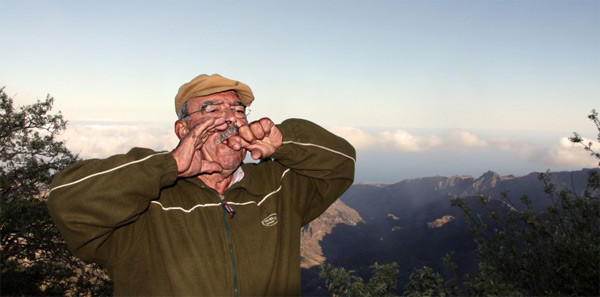 ngôn ngữ, tiếng, kỳ lạ, thế giới