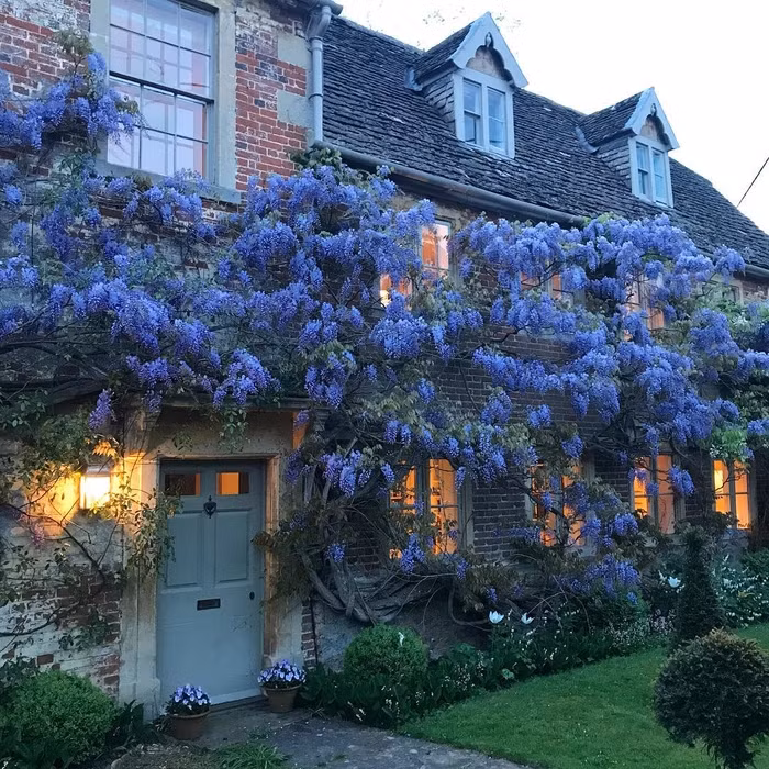 Ngất ngây với những ngôi nhà phủ đầy hoa, đẹp như trong cổ tích