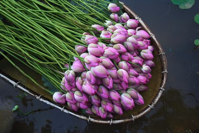 Hãy BỎ 10 điều sau để bạn luôn có tâm hồn đẹp