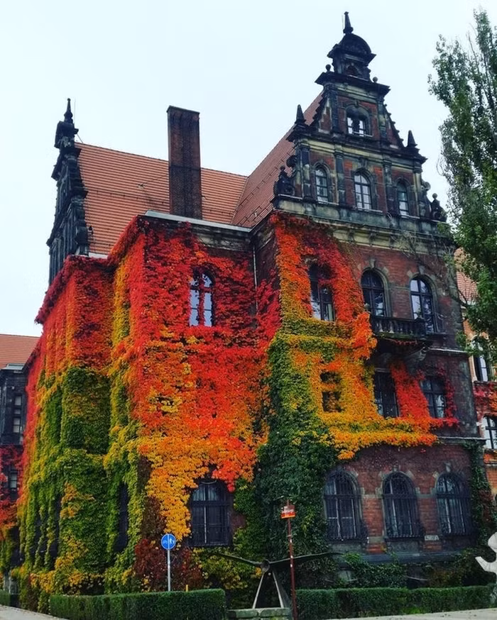 Ngất ngây với những ngôi nhà phủ đầy hoa, đẹp như trong cổ tích