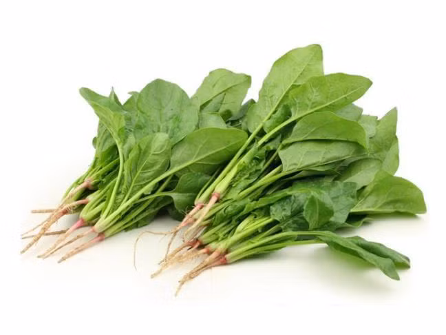 7 loai rau cu an song co nguy co NGO DOC THUC PHAM rat cao 