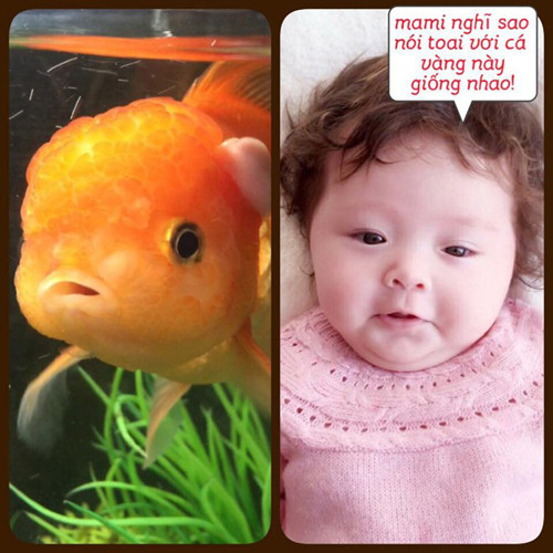 Những bức ảnh chế hài hước nhất của con gái Elly Trần - Ảnh 15