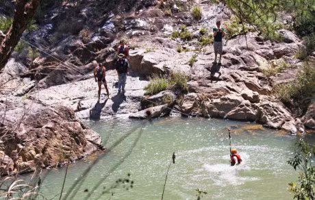 Gan chuc du khach du day mao hiem chui o Da Lat - Anh 2