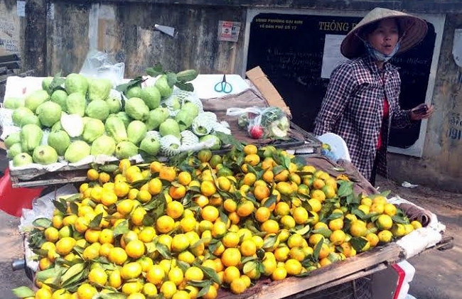 Ruốc bẩn, thịt gà, chất cấm, thịt lợn, chăn nuôi, Hà Nội, hồng vàng, lá chanh, quýt Tàu, khoai tây, Trung Quốc, táo đỏ, xăng giảm, ruốc-bẩn, thịt-gà, chất-cấm, thịt-lợn, chăn-nuôi, Hà-Nội, hồng-vàng, lá-chanh, quýt-Tàu, khoai-tây, Trung-quốc, táo-đỏ, xăng Ruốc bẩn, thịt gà, chất cấm, thịt lợn, chăn nuôi, Hà Nội, hồng vàng, lá chanh, quýt Tàu, khoai tây, Trung Quốc, táo đỏ, xăng giảm, ruốc-bẩn, thịt-gà, chất-cấm, thịt-lợn, chăn-nuôi, Hà-Nội, hồng-vàng, lá-chanh, quýt-Tàu, khoai-tây, Trung-quốc, táo-đỏ, xăng