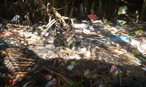 người mẹ, đốt xác con, Công an, Mỏ Cày Nam, Long An