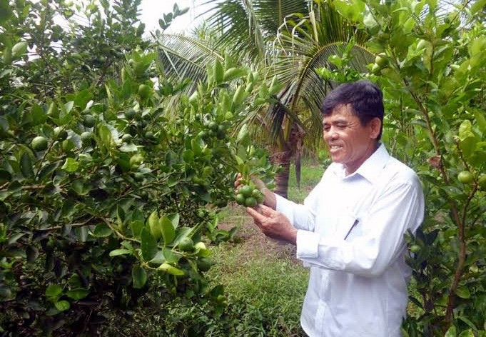 Ruốc bẩn, thịt gà, chất cấm, thịt lợn, chăn nuôi, Hà Nội, hồng vàng, lá chanh, quýt Tàu, khoai tây, Trung Quốc, táo đỏ, xăng giảm, ruốc-bẩn, thịt-gà, chất-cấm, thịt-lợn, chăn-nuôi, Hà-Nội, hồng-vàng, lá-chanh, quýt-Tàu, khoai-tây, Trung-quốc, táo-đỏ, xăng Ruốc bẩn, thịt gà, chất cấm, thịt lợn, chăn nuôi, Hà Nội, hồng vàng, lá chanh, quýt Tàu, khoai tây, Trung Quốc, táo đỏ, xăng giảm, ruốc-bẩn, thịt-gà, chất-cấm, thịt-lợn, chăn-nuôi, Hà-Nội, hồng-vàng, lá-chanh, quýt-Tàu, khoai-tây, Trung-quốc, táo-đỏ, xăng