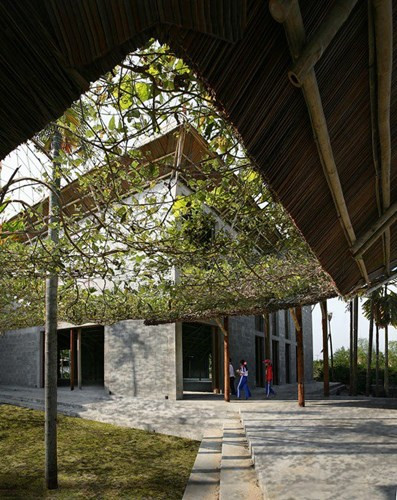 Nhà Việt giữa vườn cau gây ấn tượng trên báo Mỹ - Ảnh 6