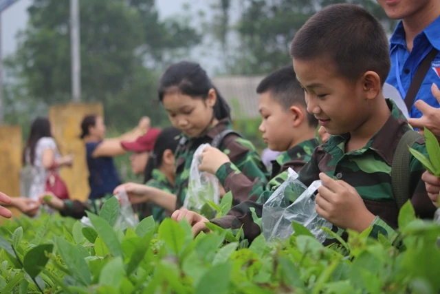  HS trải nghiệm làm nông nghiệp. Ảnh minh họa/INT