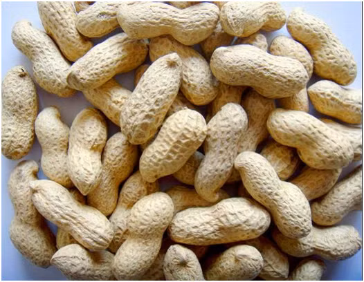 7 loại thực phẩm bổ não bạn nên ăn hàng ngày