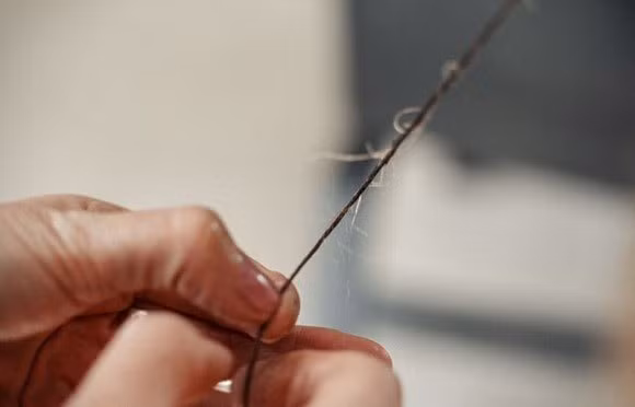 Cận cảnh dây đàn từ tóc người.