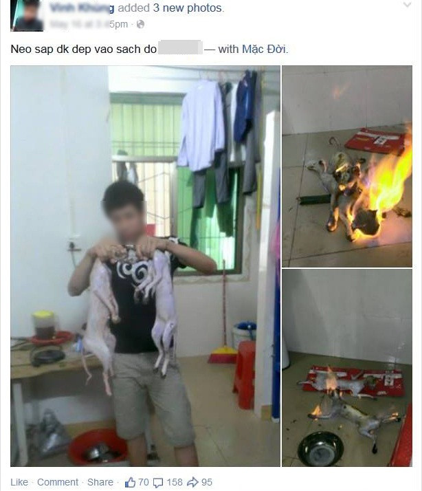 Nam thanh niên công khai ảnh giết mèo man rợ “gây bão” cộng đồng mạng