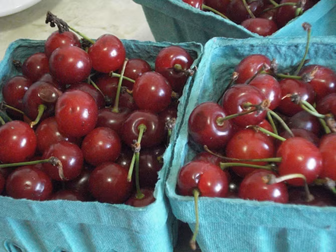 10 thực phẩm kháng viêm đơn giản hiệu quả - Ảnh 8