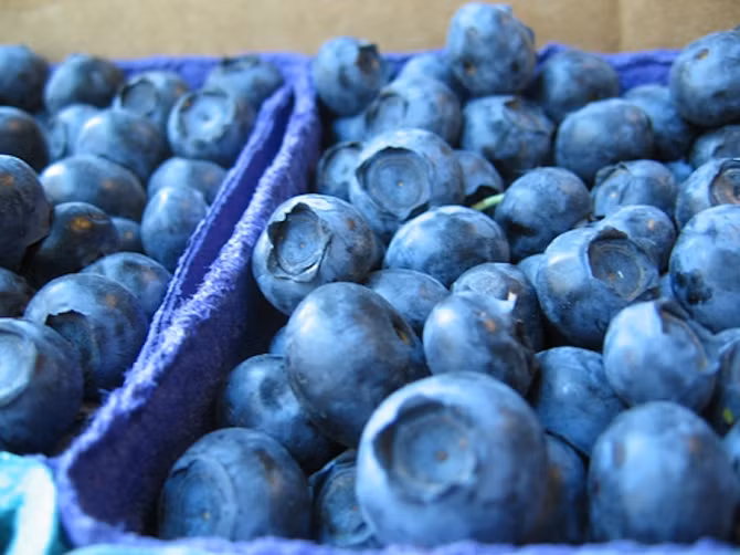 10 thực phẩm kháng viêm đơn giản hiệu quả - Ảnh 6