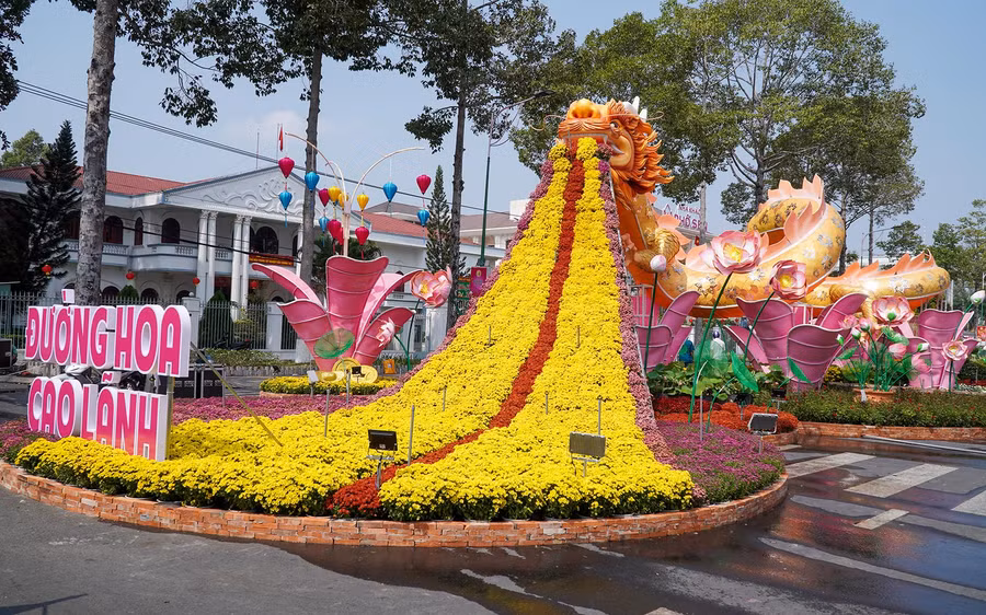 Không gian đường hoa Xuân Giáp Thìn năm 2024 TP Cao Lãnh chính thức phục vụ khách tham quan từ tối 7/2.