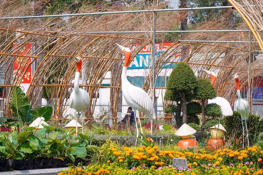 Không gian đường hoa tái hiện môi trường sinh thái của chim Sếu đầu đỏ.