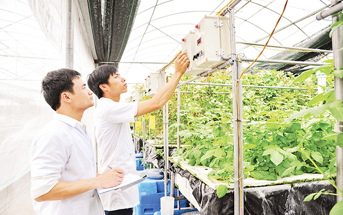Ảnh minh họa ITN. Ảnh minh họa ITN.