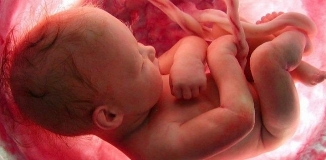 Sự thật những điều bé làm khi ở trong bụng mẹ nhiều người không ngờ được ảnh 1 Sự thật những điều bé làm khi ở trong bụng mẹ nhiều người không ngờ được ảnh 1