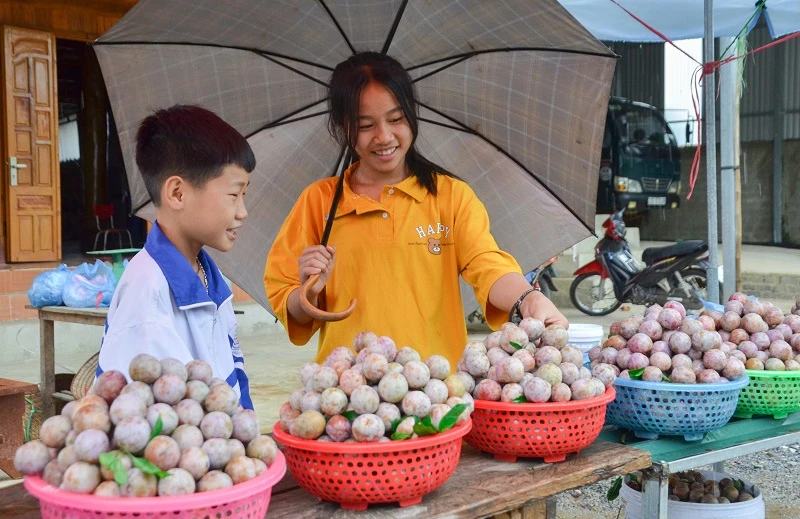 Học sinh tham gia bán mận.