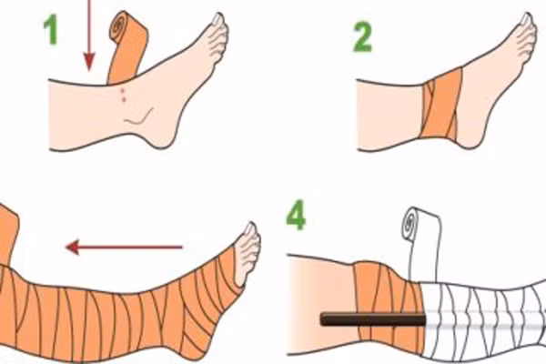 Bé 22 ngày chết vì rắn cắn, sự thật về lời đồn rắn thích mùi sữa mẹ