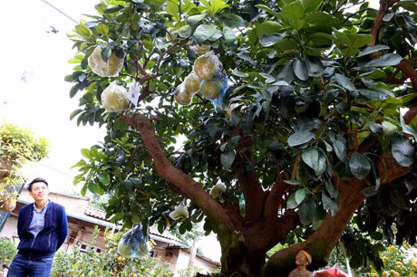 Quat mat mua, dao cho… thoi tiet - Anh 5